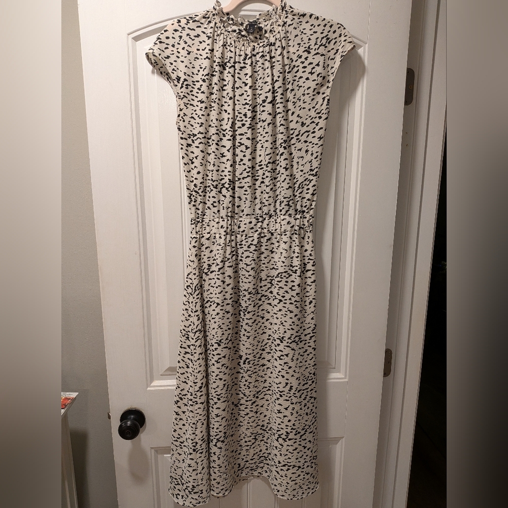 Banana Republic Cream and Black Midi Dress